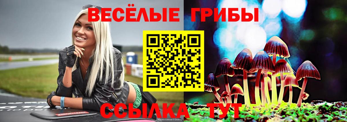 Алейск  Псилоцибиновые грибы ЛСД  Вход с VPN 