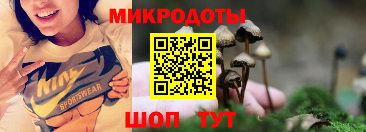 МЕФ Алейск
